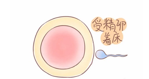 2021武漢試管嬰兒哪個醫院成功率最高？參考下
