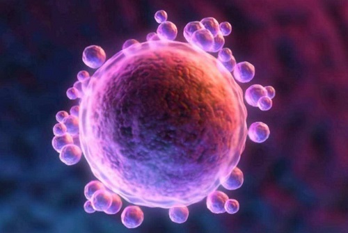 2022三代試管嬰兒技術怎么規避家族遺傳病？