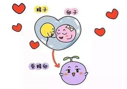 試管過程中為什么會有人吃避孕藥呢？
