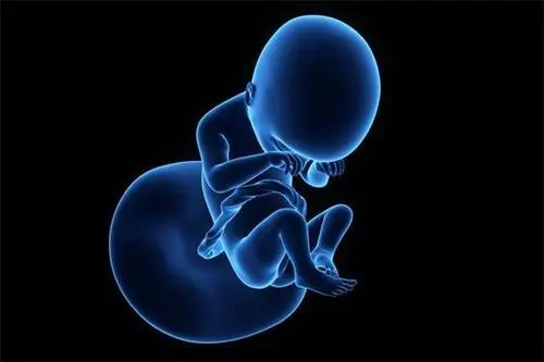 試管對(duì)女人的傷害多大？IVF家庭不可錯(cuò)過